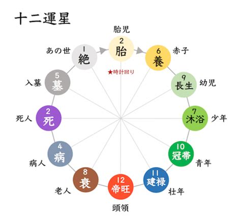 十 二 運|四柱推命の【十二運星】とは？意味・調べ方・エネルギーを解説